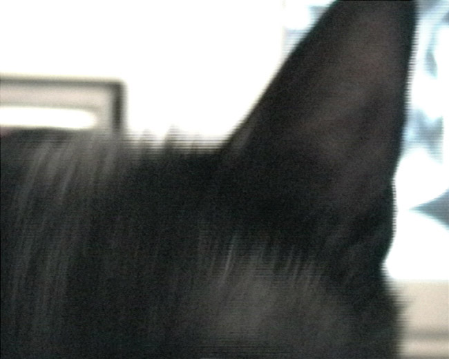 NONAME_035