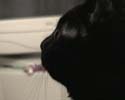 NONAME_029