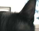 NONAME_035